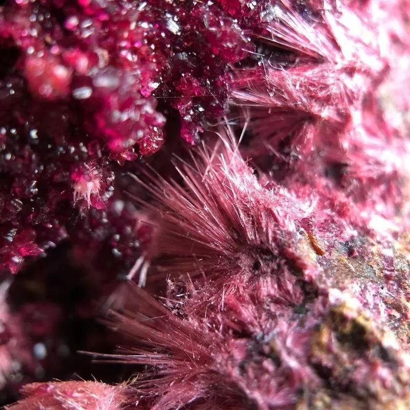 谁还不是个小可爱呢下一句,谁还不是小可爱