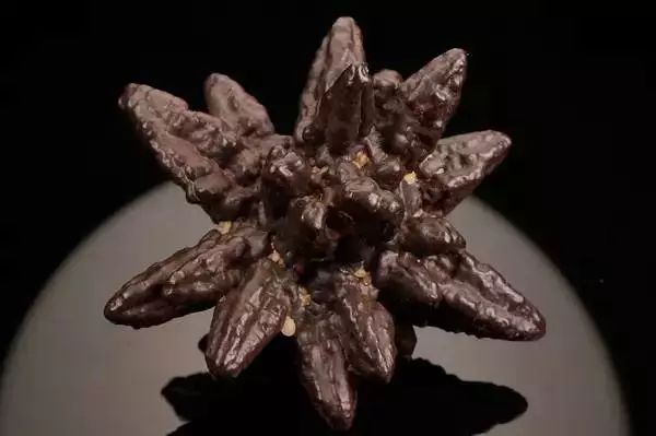 谁还不是个小可爱文案,谁小时候还不是个小可爱