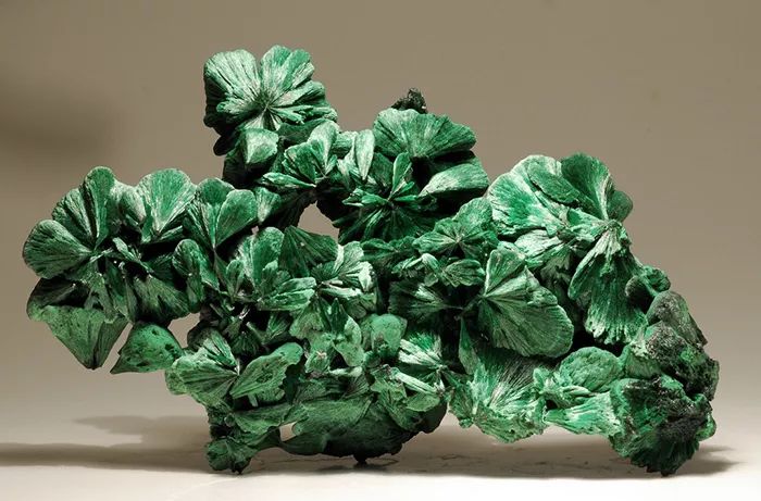 谁还不是个小可爱文案,谁小时候还不是个小可爱