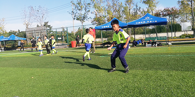 2019年山东省足球锦标赛冠军,山东省足球少年锦标赛