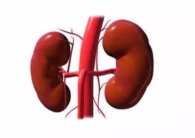 体检发现结节囊肿会变成癌吗,乳腺囊肿增生结节之间的区别