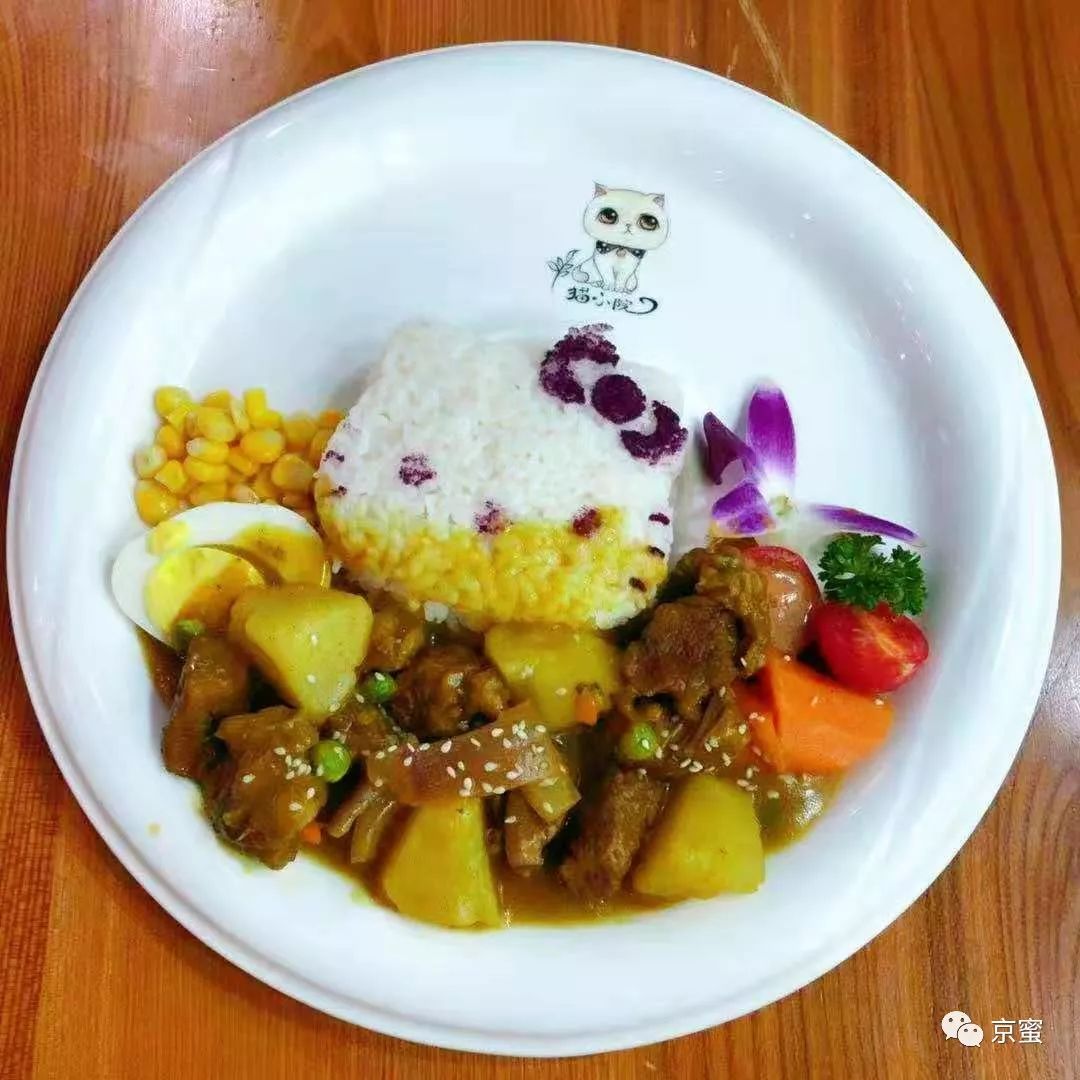 北京大型撸猫馆推荐,三里屯撸猫的地方