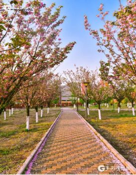 多彩妹摆贵州丨贵州的大学城就在这里,好想回去谈一场恋爱