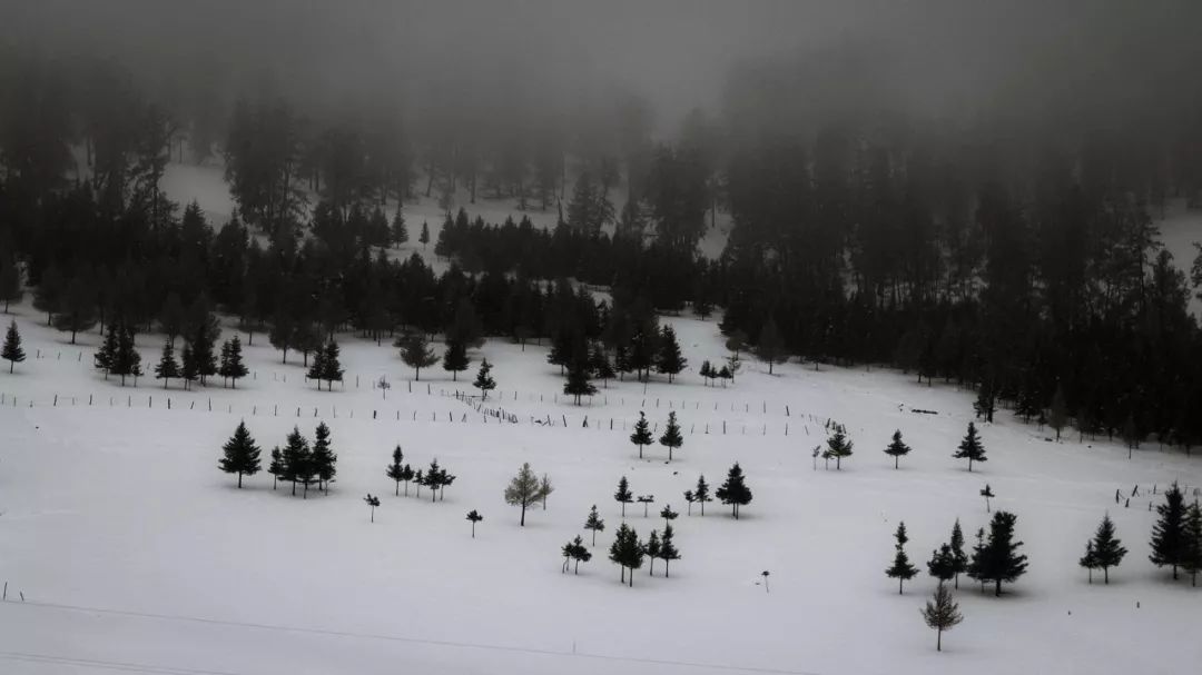 喀纳斯机场实行全年通航，10月27日起冬季直飞喀纳斯机票订起来，低至150元