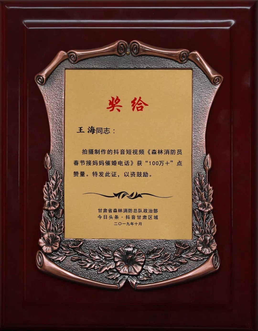 甘肃省森林消防总队抖音,甘肃森林消防视频