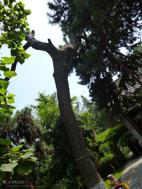 兴城自驾游记,兴城游记作文