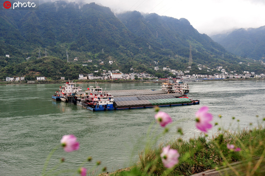 长江航运货运量,长江航运物流总量