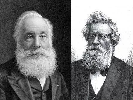 tony老师染什么头发,tony老师染发加工费