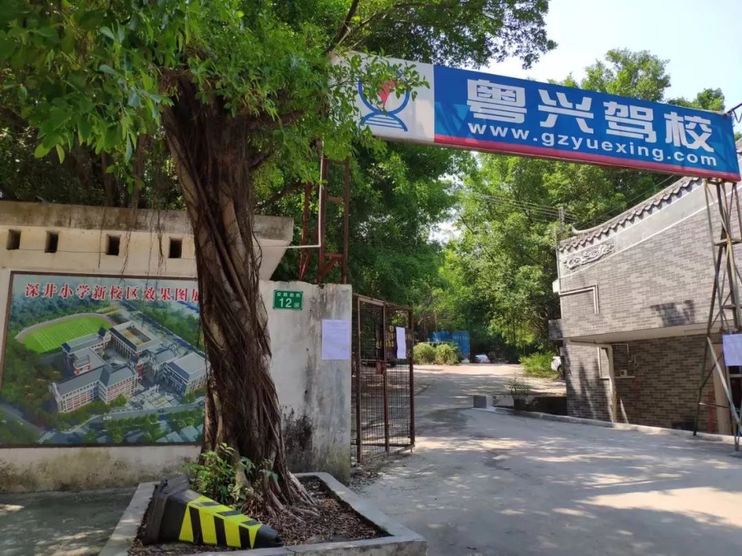 被高仿校园号带入坑,广州近300名学生遭遇“连环学车*局骗**”