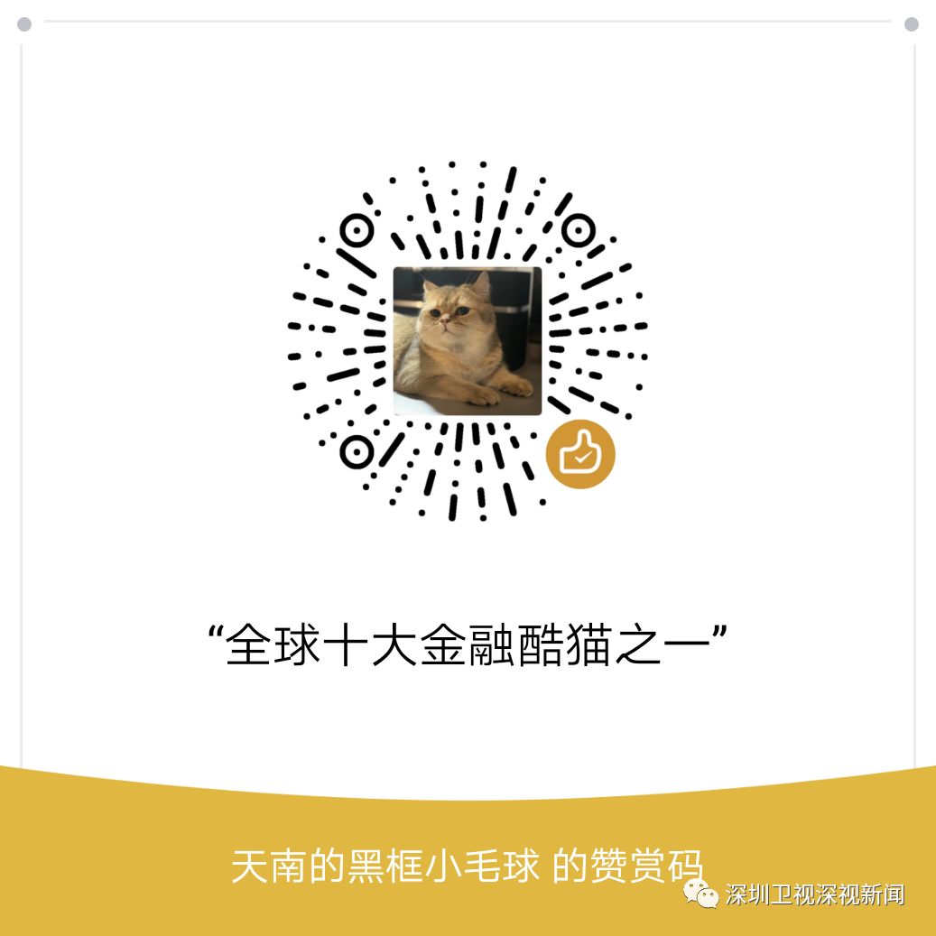 证监会走访了几家上市公司,证监会最新采访