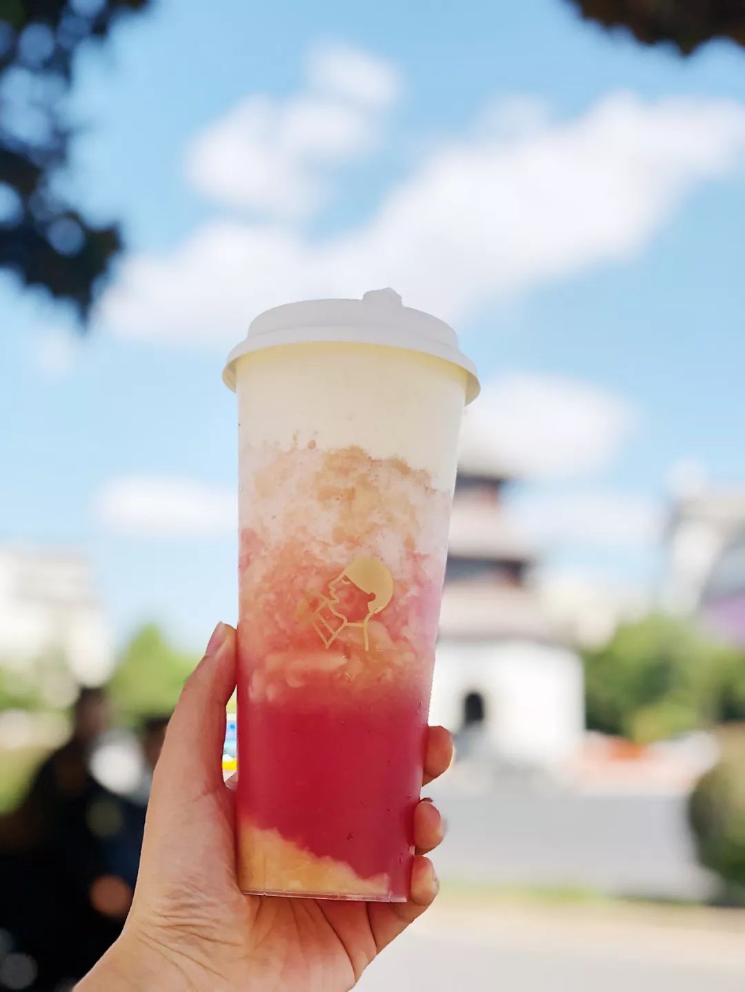 喜茶19.9元买一送一中华城,喜茶团购9.9扬州