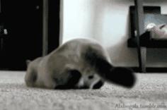 在天津坐地铁,在天津坐地铁需要身份证么