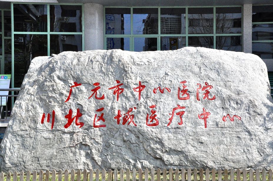 广元市中心医院人才引进政策,中心卫生院人才培养计划