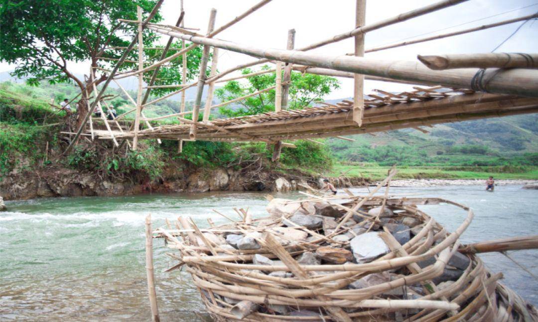 竹子的优点有哪些,竹子很有营养吗