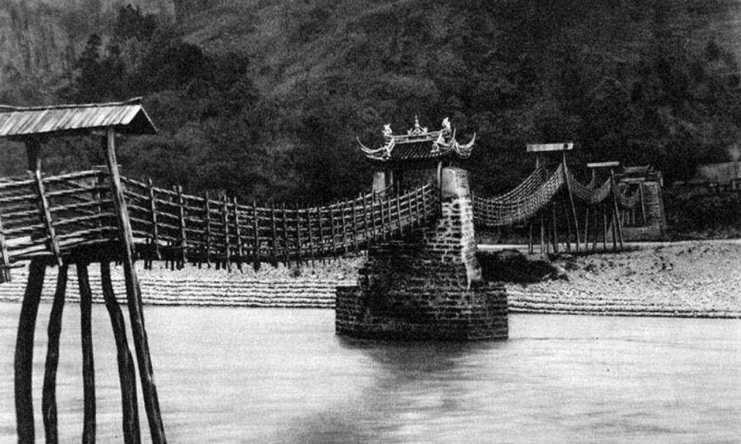 竹子的优点有哪些,竹子很有营养吗