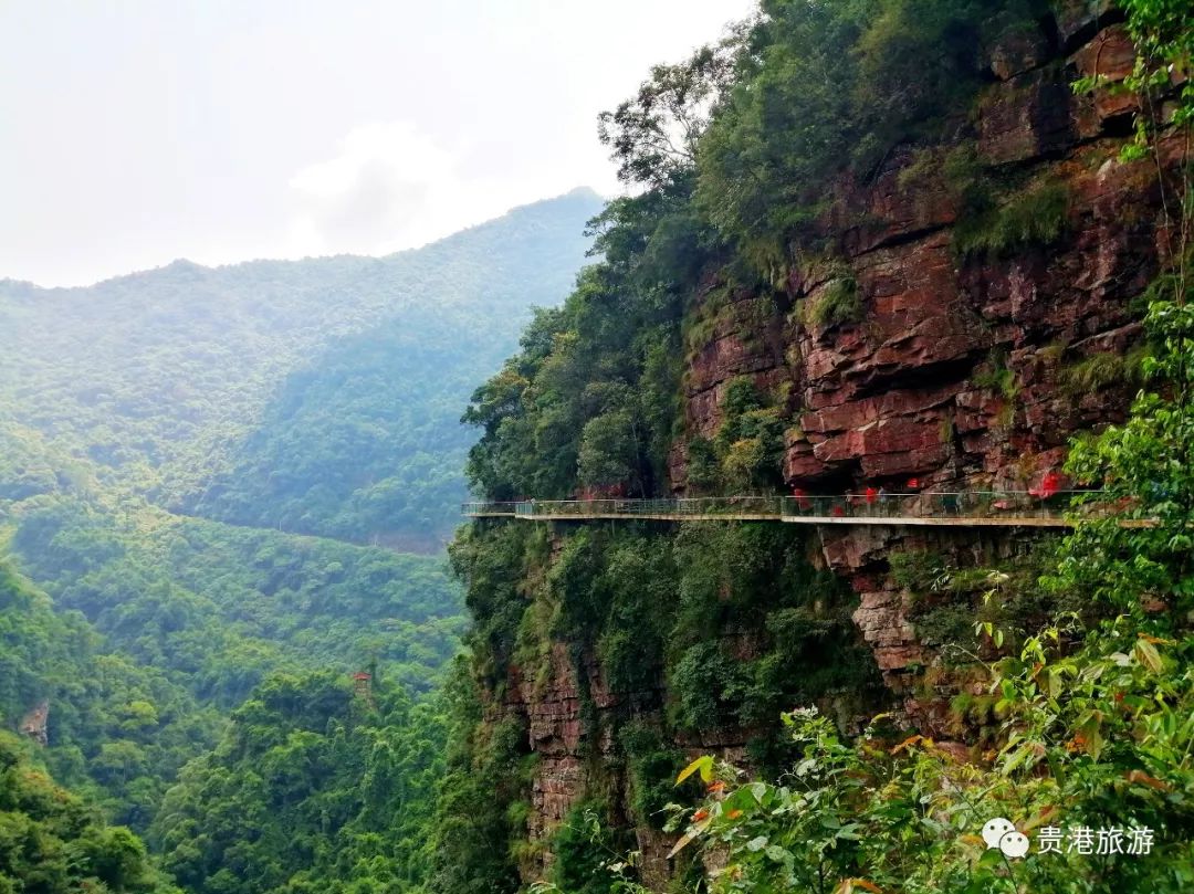 推荐|七彩天梯、野生猕猴、汽车露营……贵港龙潭国家森林公园与你不见不散