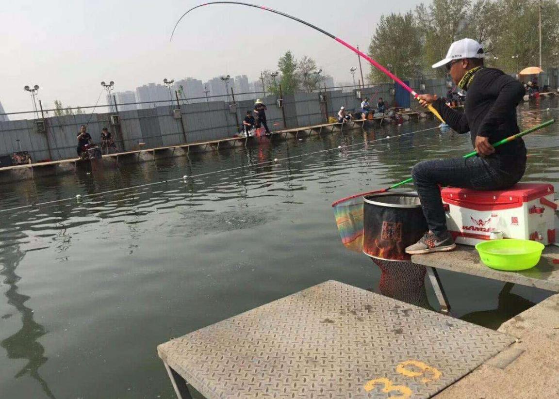 浅谈钓鱼钓竿的认识与选择,钓竿的调性与硬度有什么区别