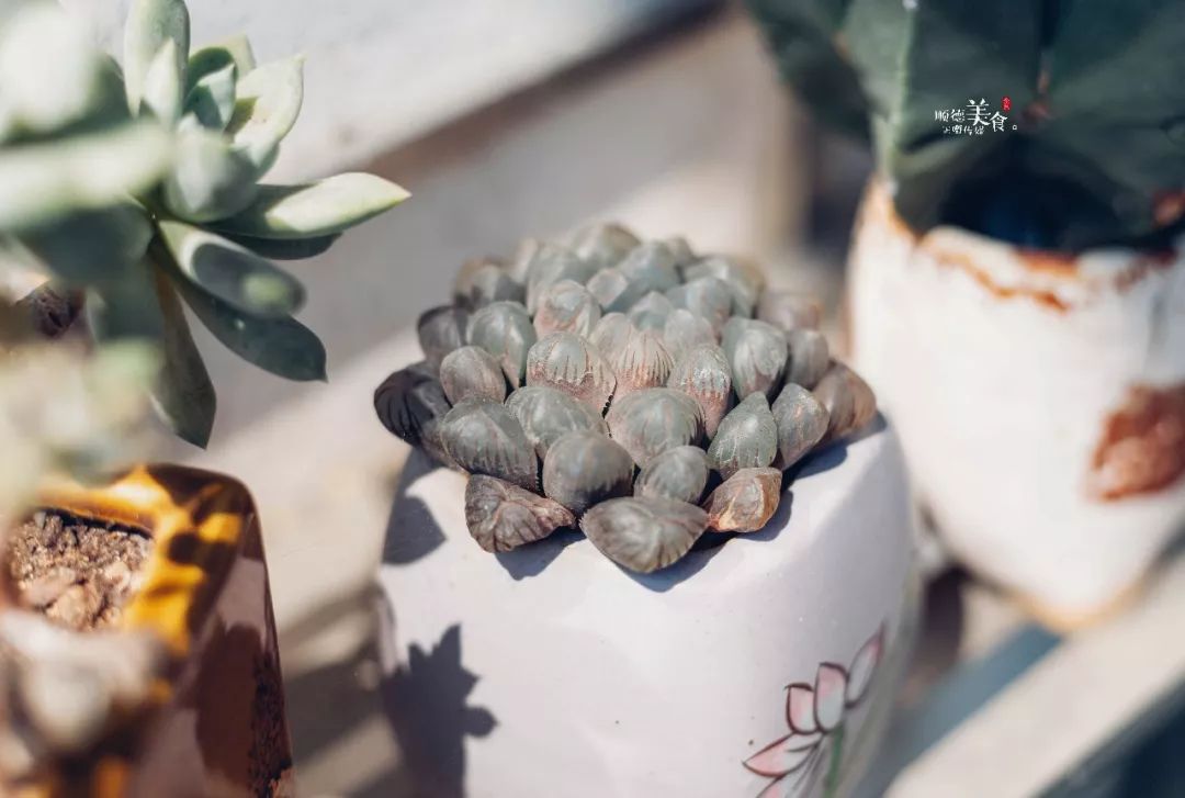 酒香不怕巷子深菜好不怕店难找,酒香不怕巷子深曲径通幽处