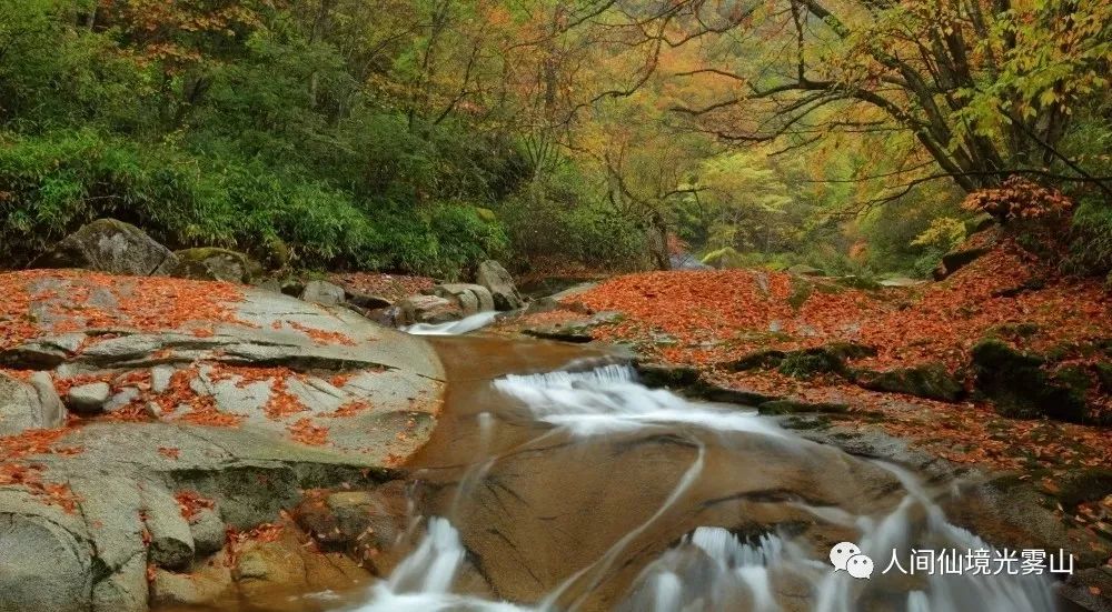 秋天的川西彩林,川西彩林最佳观赏地点