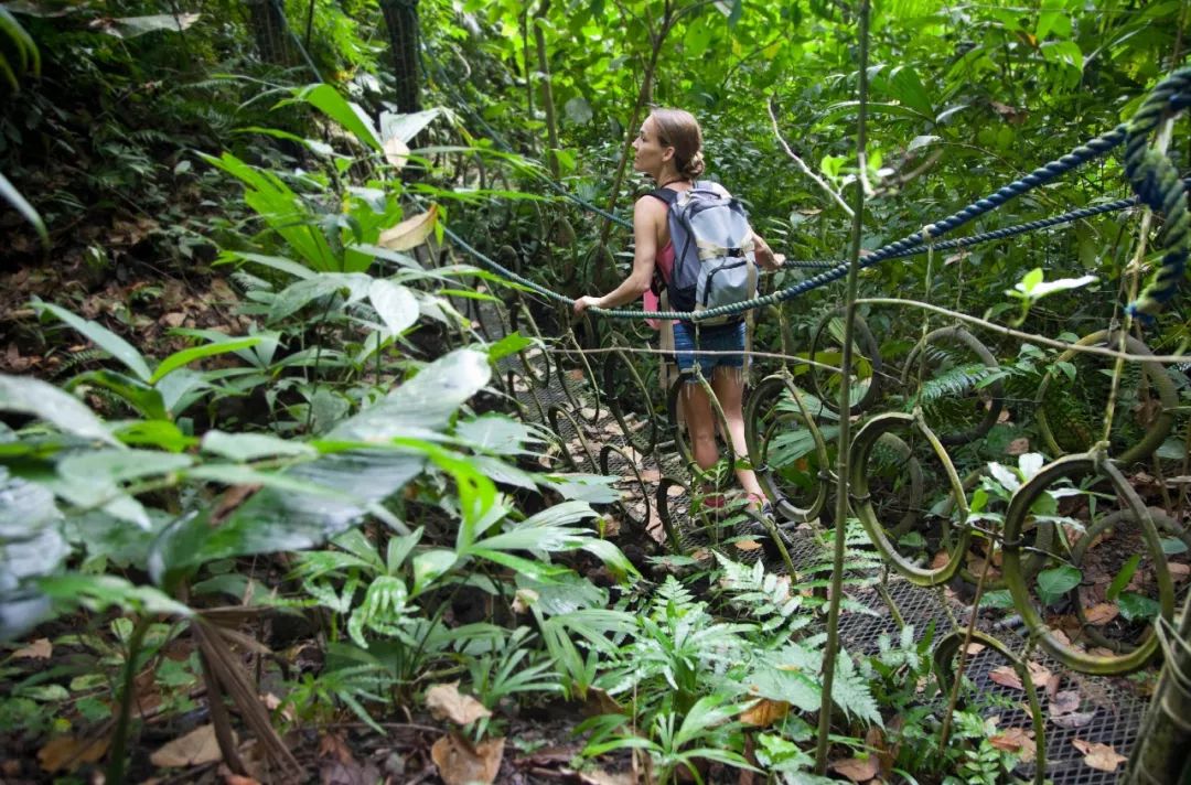 lonelyplanet2021最佳旅行清单,lonelyplanet旅行指南系列旧金山