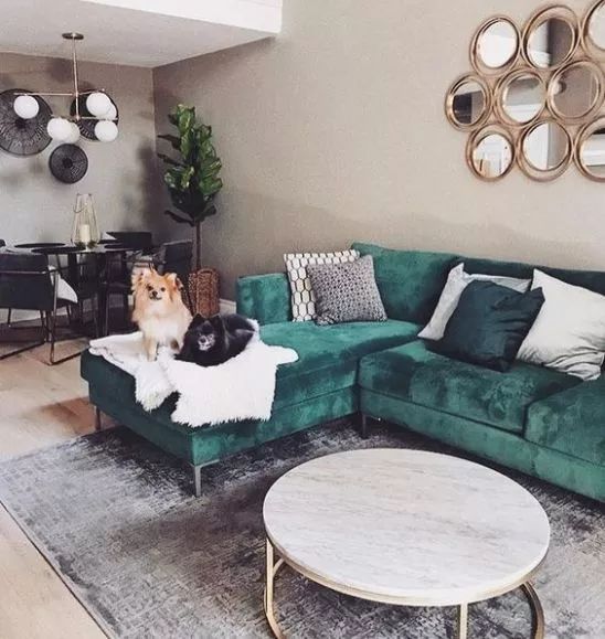 真皮沙发脏了用什么清洗最好,请问一下白色沙发脏了怎样清理