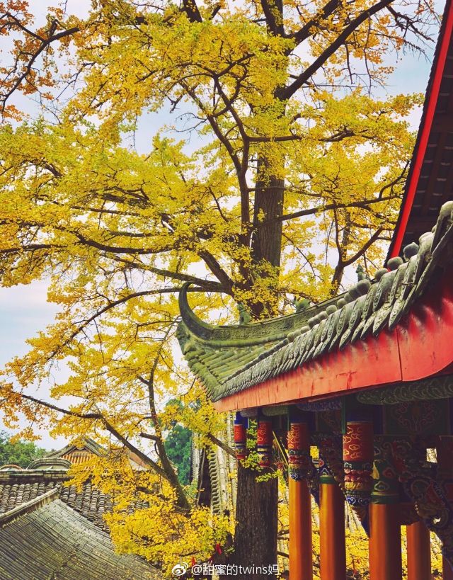 四川旅游浮云牧场1000块钱能玩,四川古村落旅游景点推荐