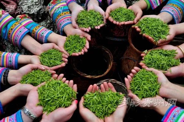 推荐秋季贵州旅游10个最美目的地,贵州被评为十佳旅游目的地