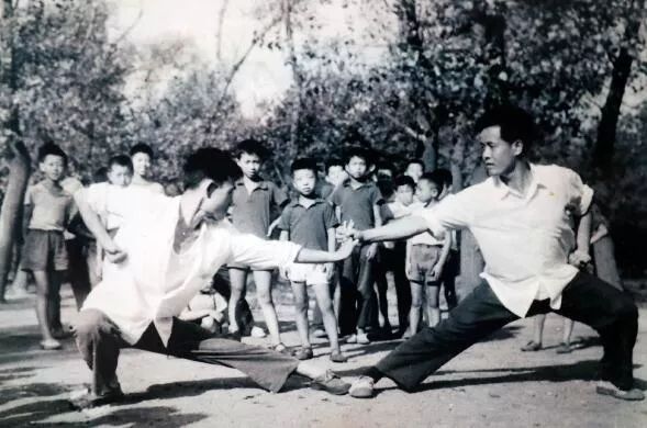 武术博大精深螳螂拳传人展功力,传承桃李芬芳