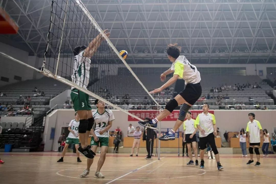 五育并举背景下体育课程建设,坚持五育并举全面发展素质教育