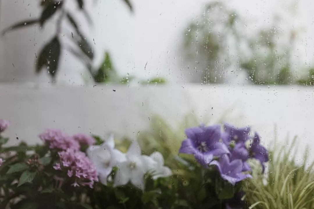 她买下32㎡上海老旧学区房，为女儿打造小桃园，还有20㎡超舒适大庭院