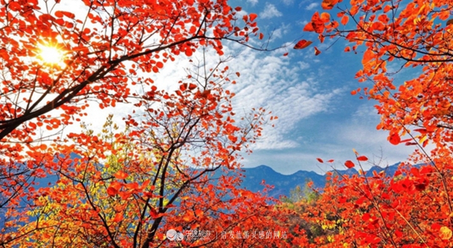 北京秋天赏红叶好去处房山坡峰岭,秋天赏红叶最佳去处