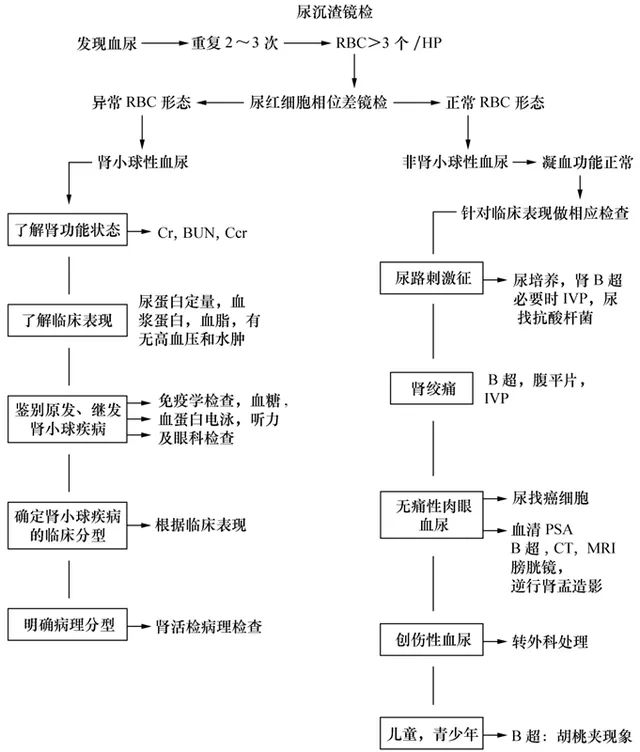 一图读懂:尿液发红就是血尿吗?|医学科普
