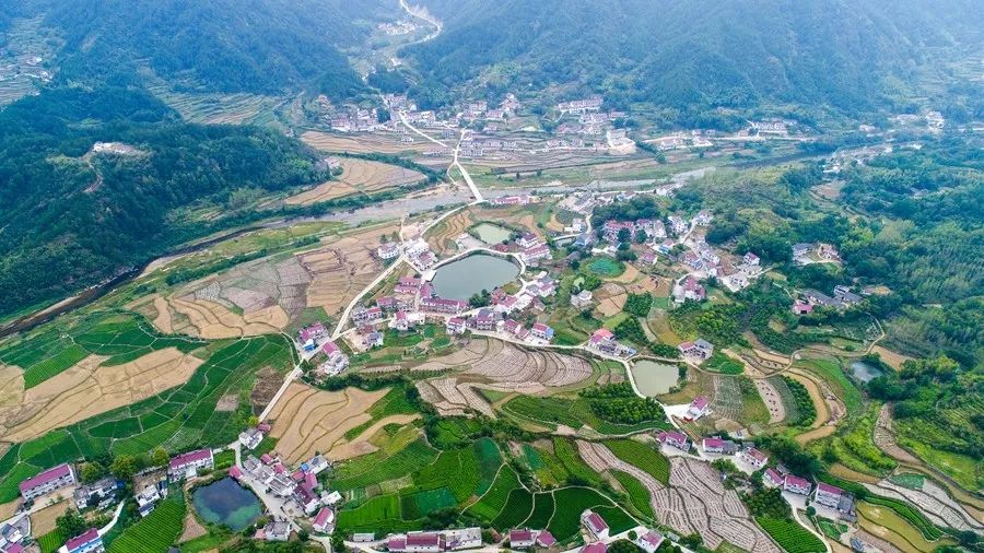 直播预告│明天上午！店前镇第五届农*运民**动会暨首届边贸地方文化节开幕