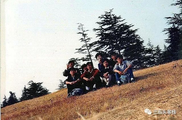 华政的简介,华政的故事