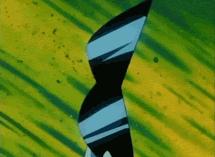 双十一的购物车,双十一购物车里有哪些人