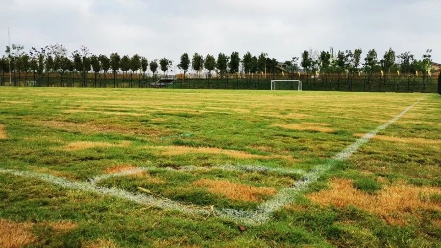 「V观･城事」走起！浦口这些免费健身场所，你值得拥有