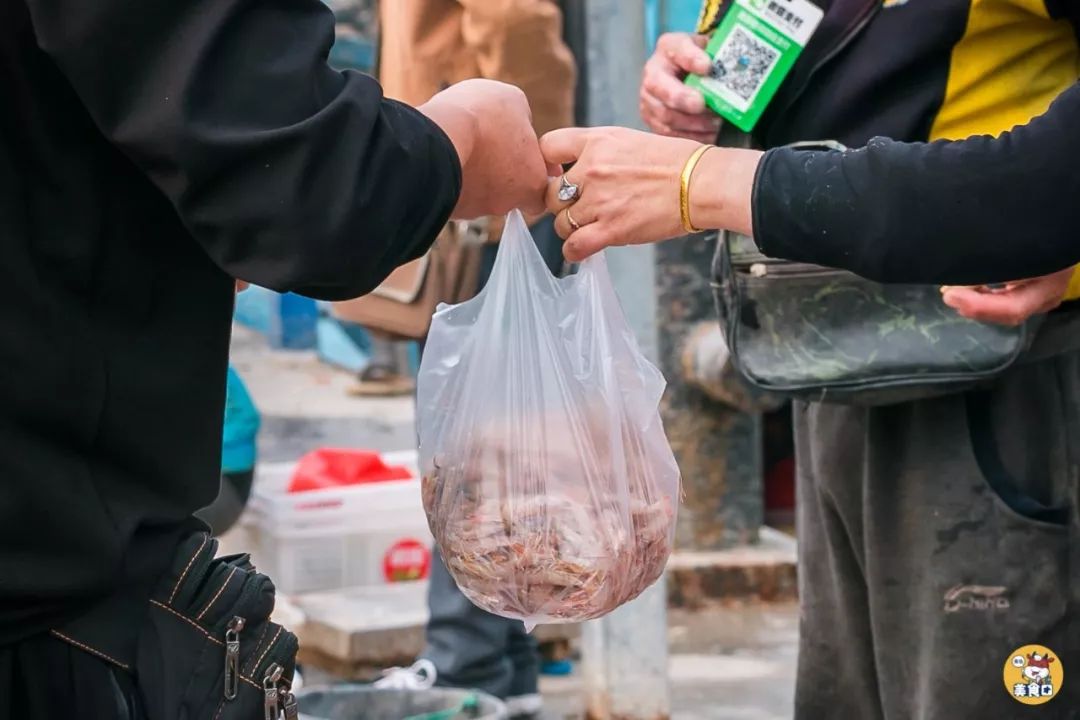 小港码头有蛏子吗,小港码头吃海鲜俱乐部电话