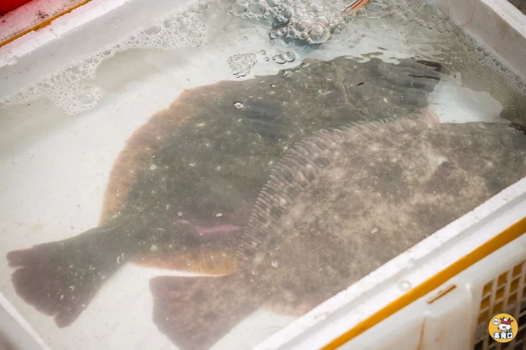 小港码头有蛏子吗,小港码头吃海鲜俱乐部电话