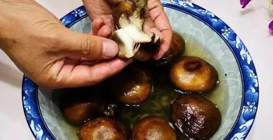 香菇里面有小虫子怎么办,香菇发霉生小虫子怎么快速消除