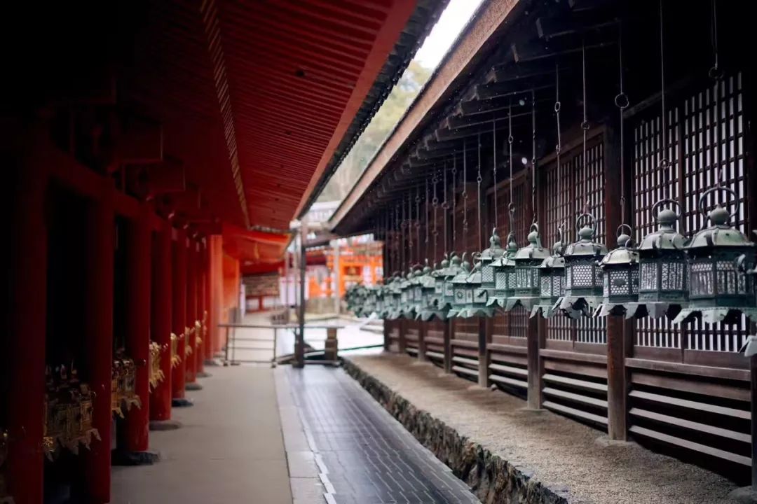 泡全球仅一家的珍珠温泉，上小众景美的雪场滑雪，99%游客都不知道的日本玩法