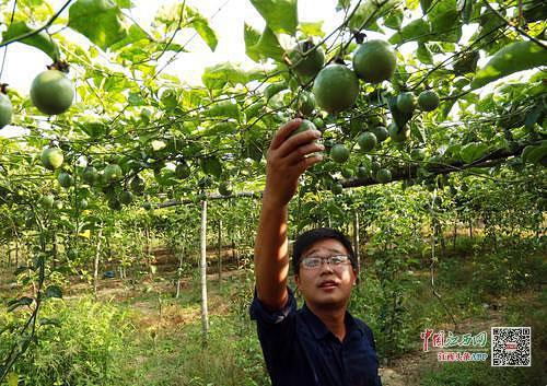 脱贫村致富带头人,培育致富带头人助力脱贫