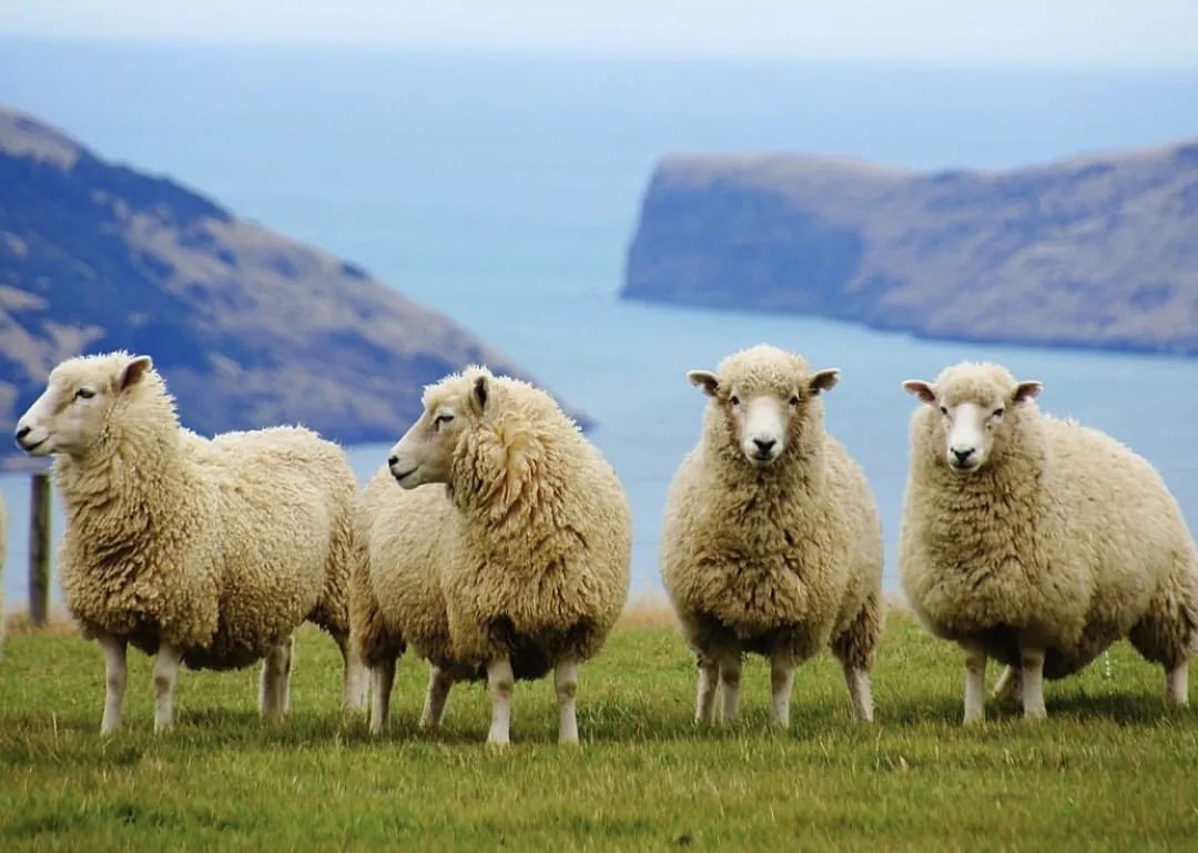 美剧指环王拍摄最新状况,美剧版指环王即将上拍