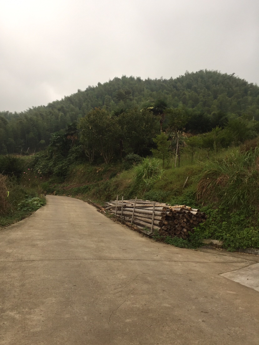 好久未发说说,好久没发过朋友圈的句子