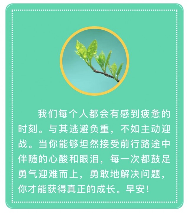 济南各热源厂供暖片区 (济南十四五供热发展规划)