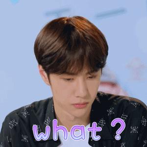 留学报名直播,留学申请咨询活动流程