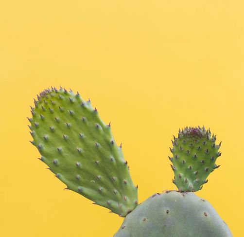 荐号|这几个公众号百读不厌