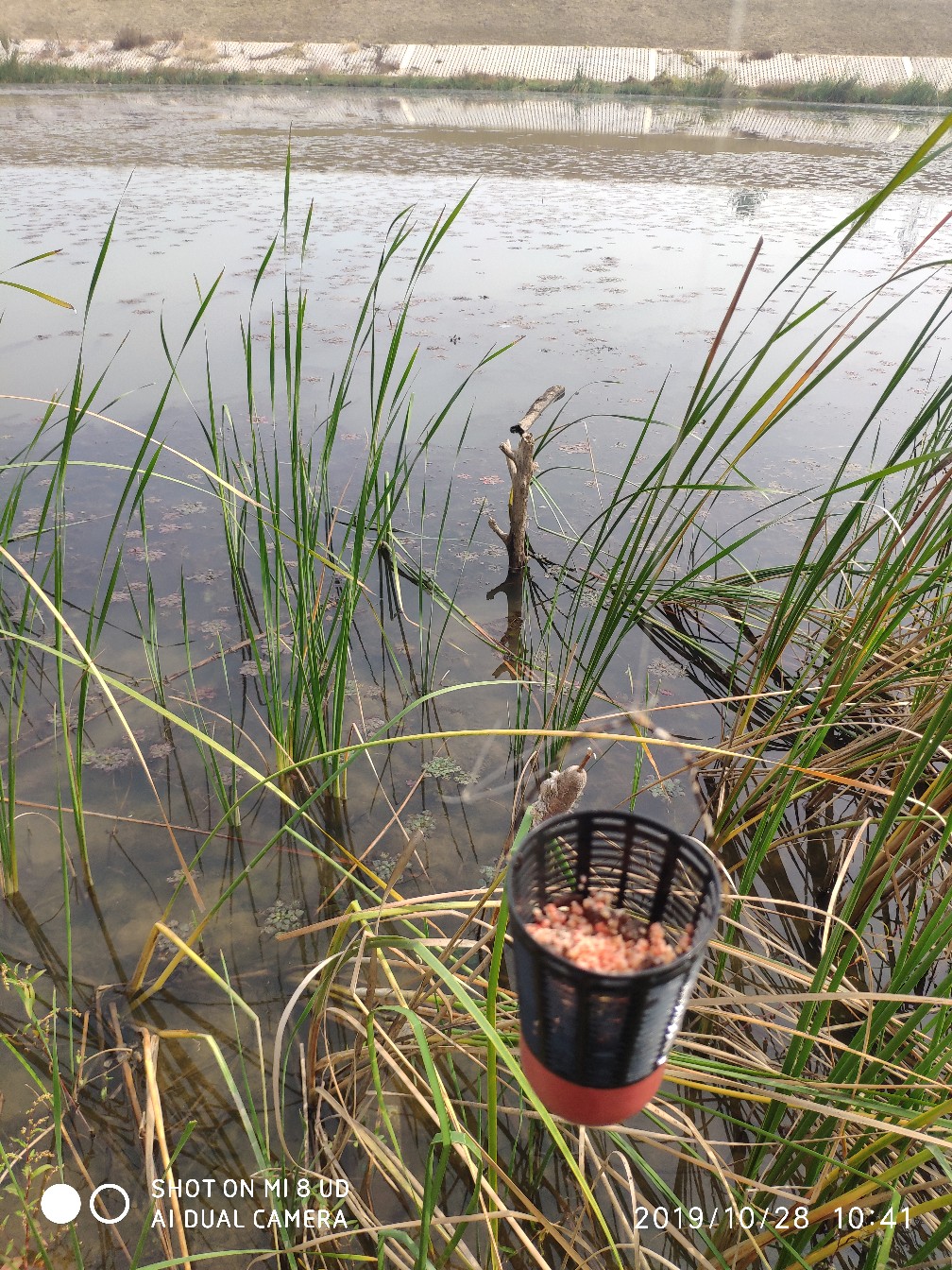和钓友吃吃喝喝好不好,野钓与钓友