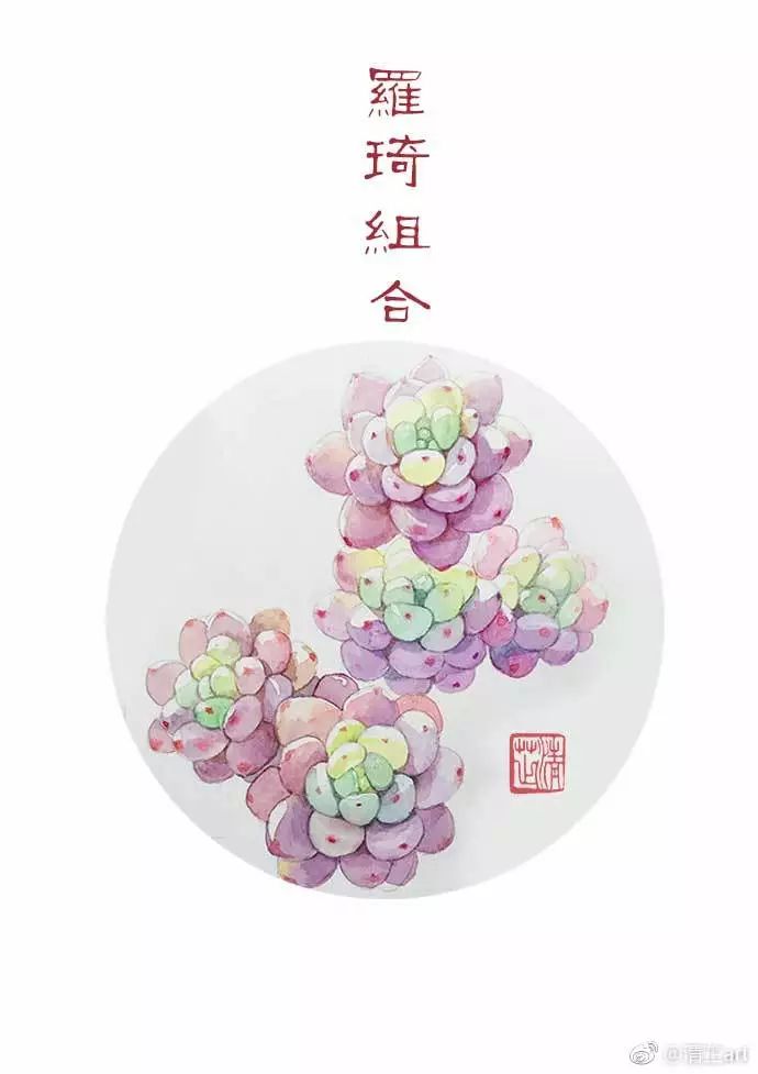 什么多肉不需要太强的光照,光照不足也能养的多肉