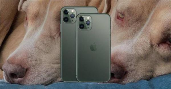 ios13.2.2怎么样值得升级吗,ios13.2都有哪些能升级