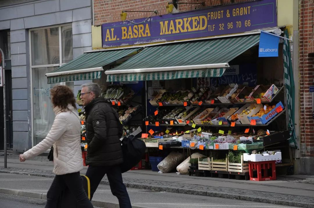 真羡慕丹麦人，连大象都提前退休了